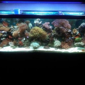 IMG00057 20111018 1900