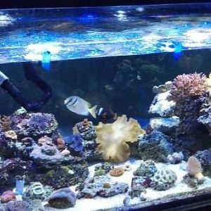 2011 11 17 18 19 16 934