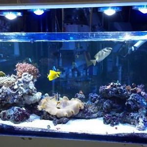 2011 11 17 18 17 00 235