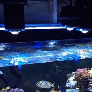 2011 11 17 18 19 11 443