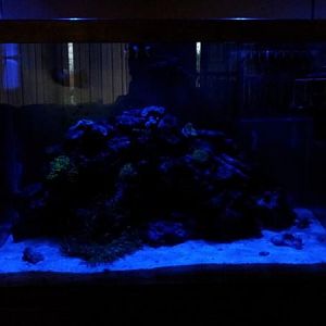 Night shot with my blue leds