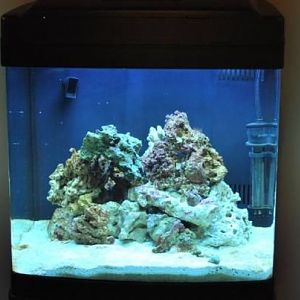 Nov. '10, when I first started setting it up.