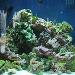 Jan. '11, after a couple of months and some nice additions...