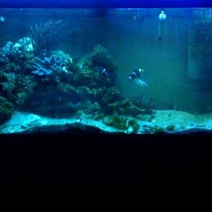 90 gallon system, 75 gallon softy tank