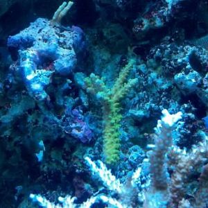 2012 01 17 19 57 54 654