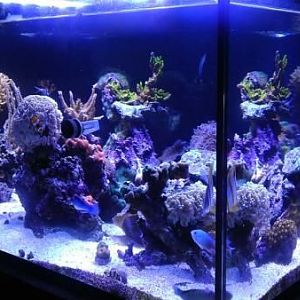 150 Peninsula from the long side.  This is the view from my dining room table/home office.