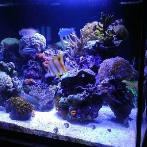 150 Peninsula from the short side.