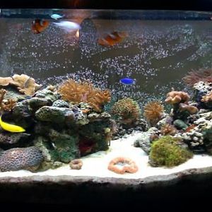 FTS 2/8/12