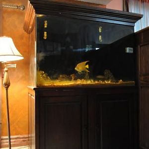 DSC 0220
4ft wide x 3ft x 3 ft high