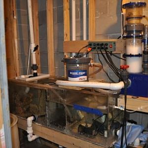 DSC 0222
mrc-r skimmer and 100 gal sump