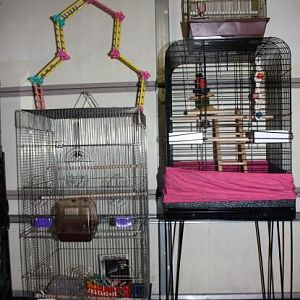 bird cages