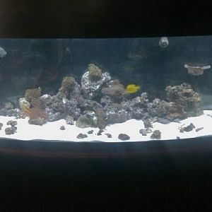 155 bow first day up and running