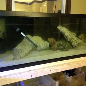 live rock and dry rock cycling