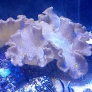 2012 11 01 20 23 24 542