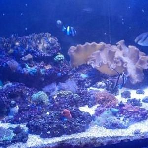 2012 11 01 20 20 39 77