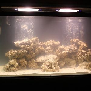 120g tank filled