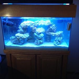 Full tank shot: 80+ lbs lr, 100 lbs ls, no livestock.... yet