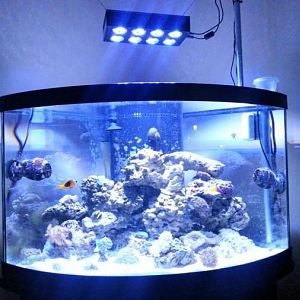 Full tank shot with lights