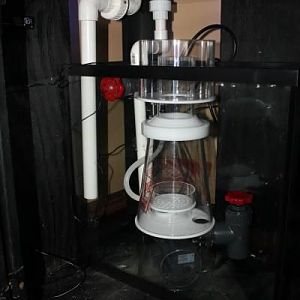 Reef Octopus 2000 SSS skimmer, 16 gallon sump