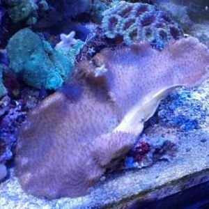 2012 12 12 18 14 37 395