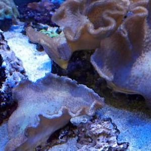 2012 12 12 18 15 16 392