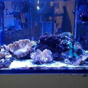 2012 12 12 18 21 57 210