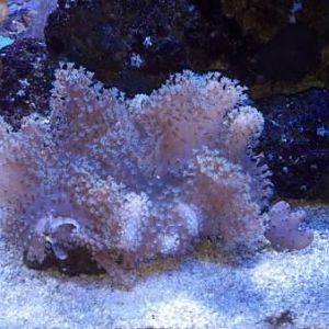 2012 12 14 18 09 01 854