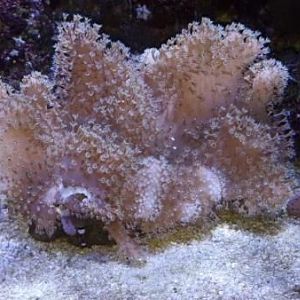 2012 12 14 18 11 35 812