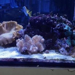 2012 12 14 18 12 09 500