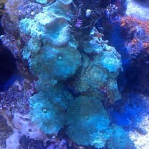 2013 01 13 13 39 11 661