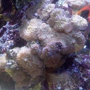 2013 01 13 13 43 27 49