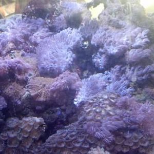 2013 01 13 13 44 15 240