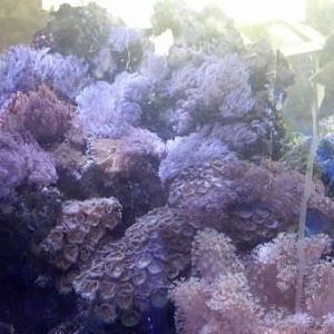 2013 01 13 13 44 27 69