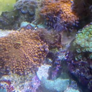 2013 01 13 13 45 16 198