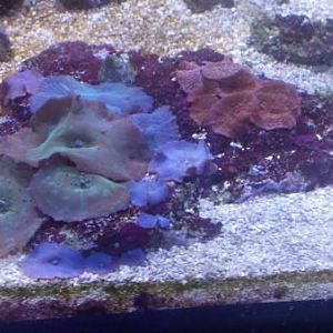 2013 01 13 13 45 51 780