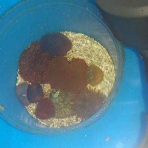 2013 01 13 13 46 22 883