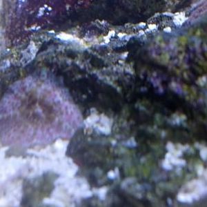 2013 01 13 13 49 14 220