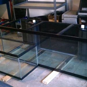 247183 218533424835623 1260693 n