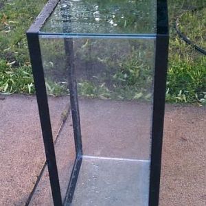 251314 218525594836406 5898292 n