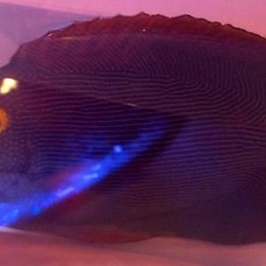 2013 01 31 18 02 18 108 (1)