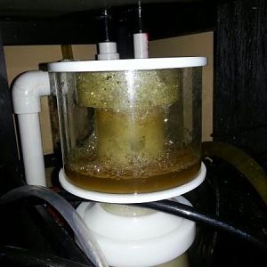 Reef Octopus XP-2000. Always pulling filth!