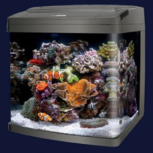 biocube29-front-lr.jpg