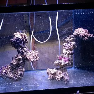 29g_aquascape.jpg