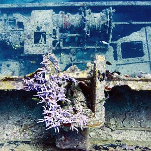 From the top of the cabin