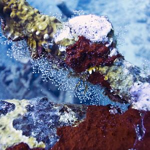 Not sure, was just cool fuzz.