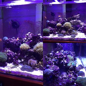 a few angles of new aquascape