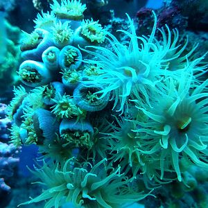 IMG_20170725_052836808