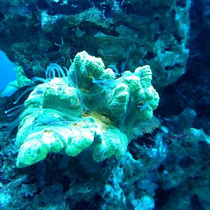 IMG_20170725_052811974