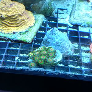 IMG_20170726_154527995_HDR