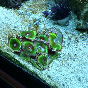 IMG_20170726_154533194_HDR